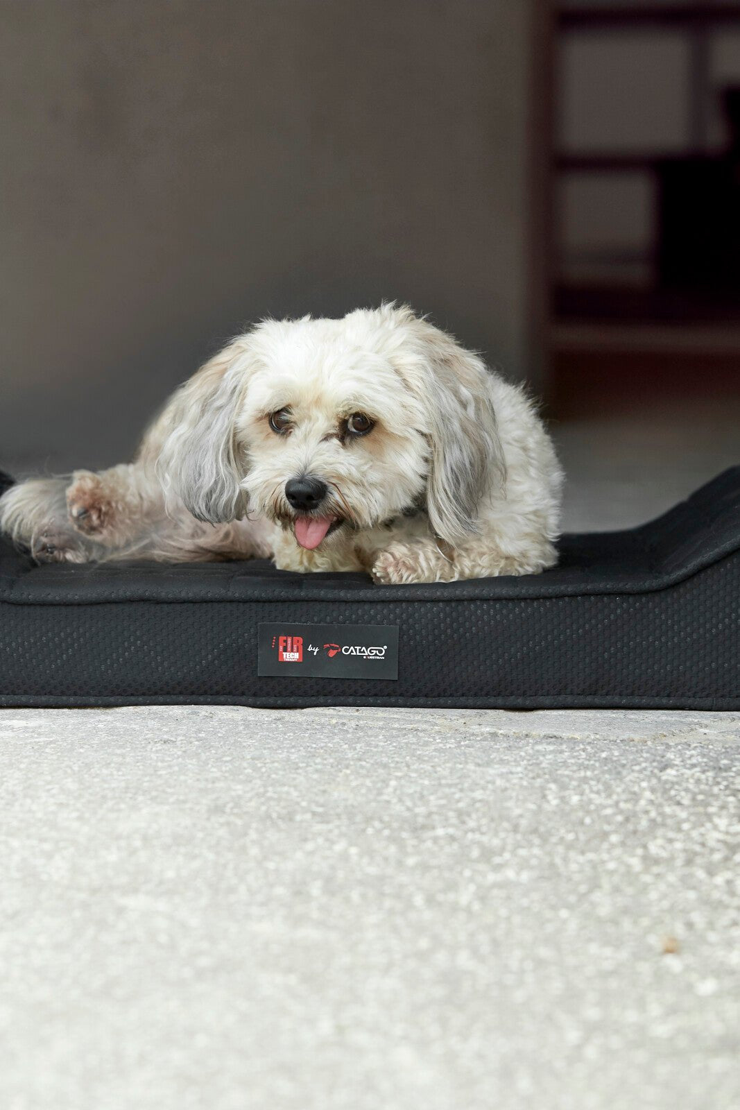 CATAGO FIR - TECH dog pillow - Unamari