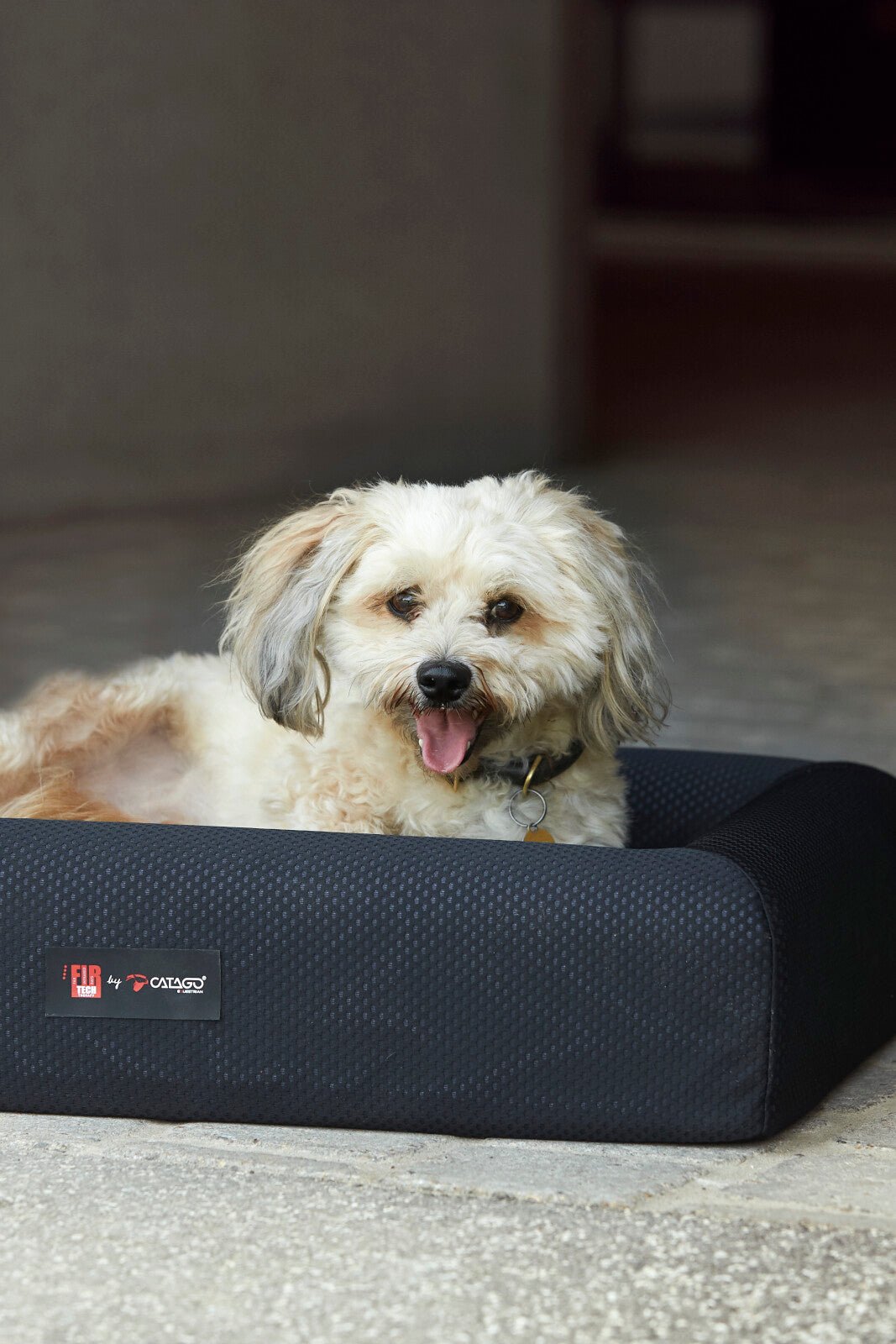 CATAGO FIR - TECH dog basket - Unamari