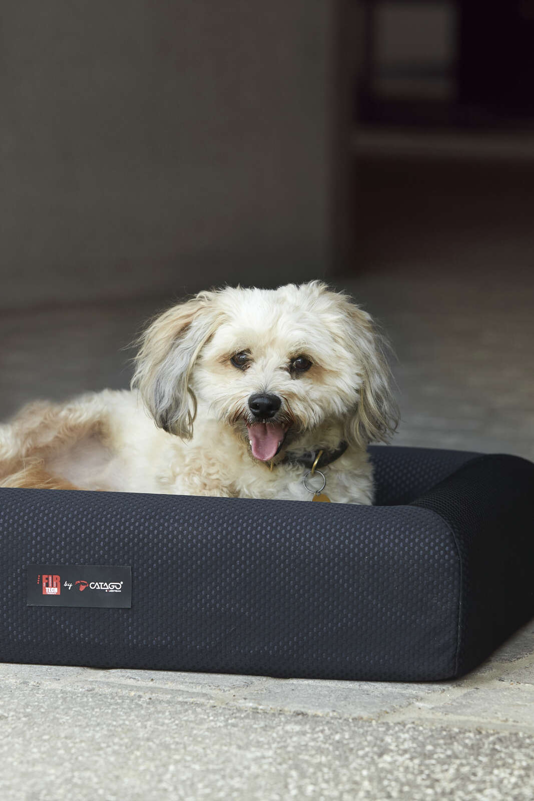 CATAGO FIR-TECH Hundekorb