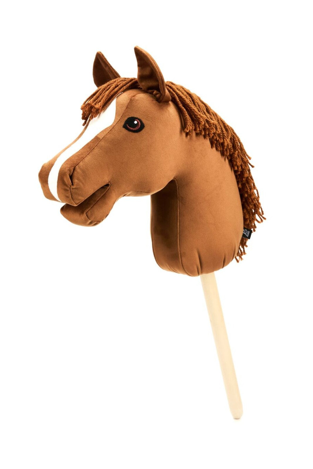 My Hobby Horse Kæphest Caristo