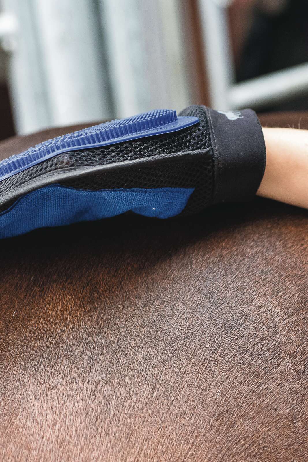 HorseGuard Grooming gloves
