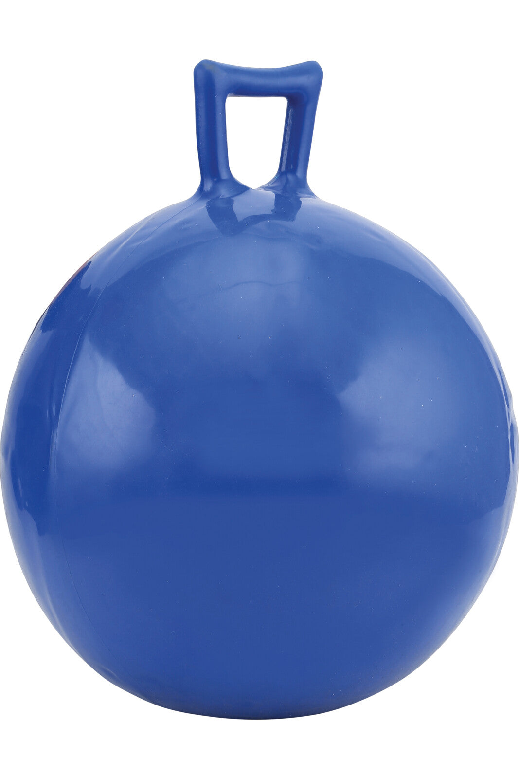 HorseGuard Play ball