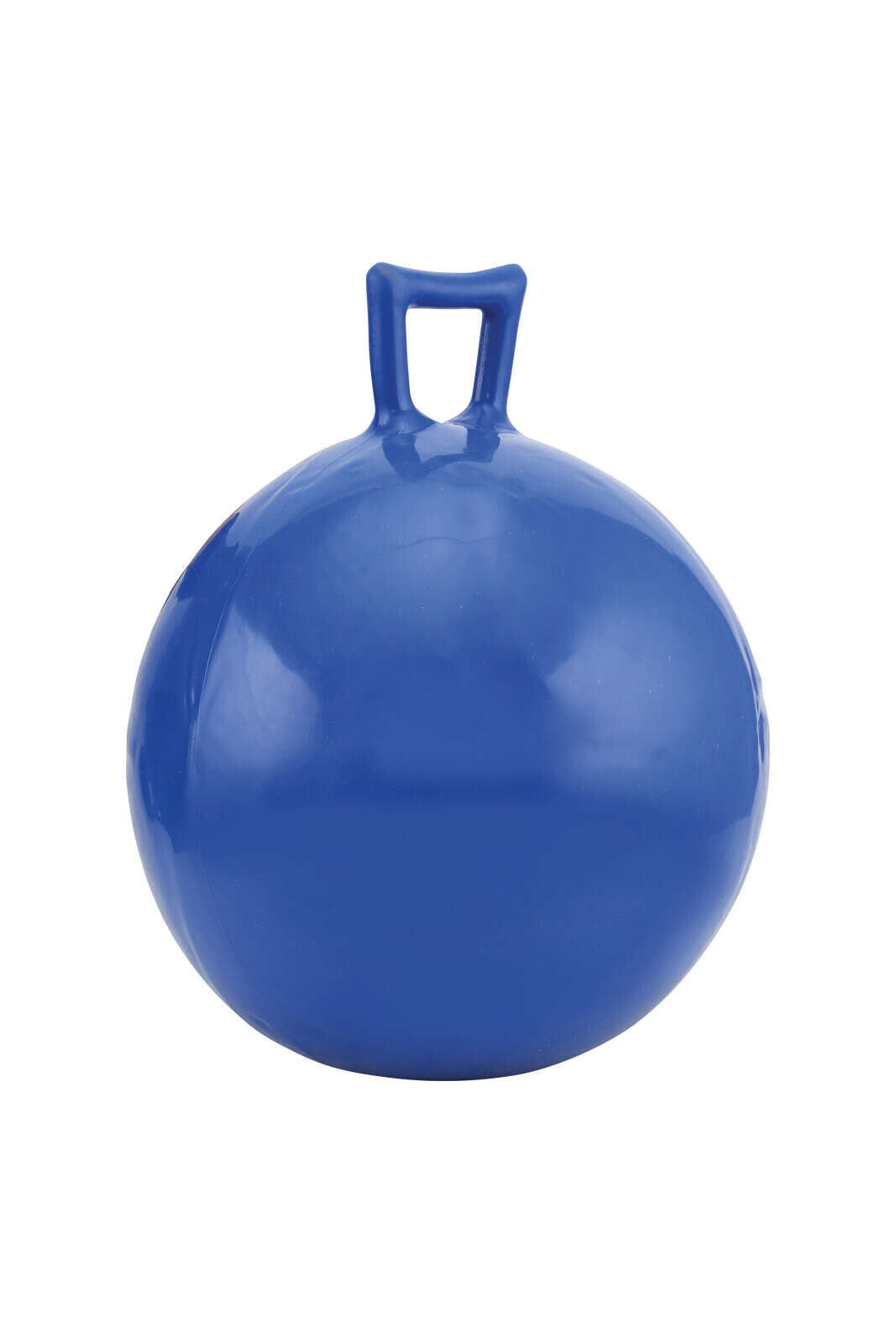 HorseGuard Playball