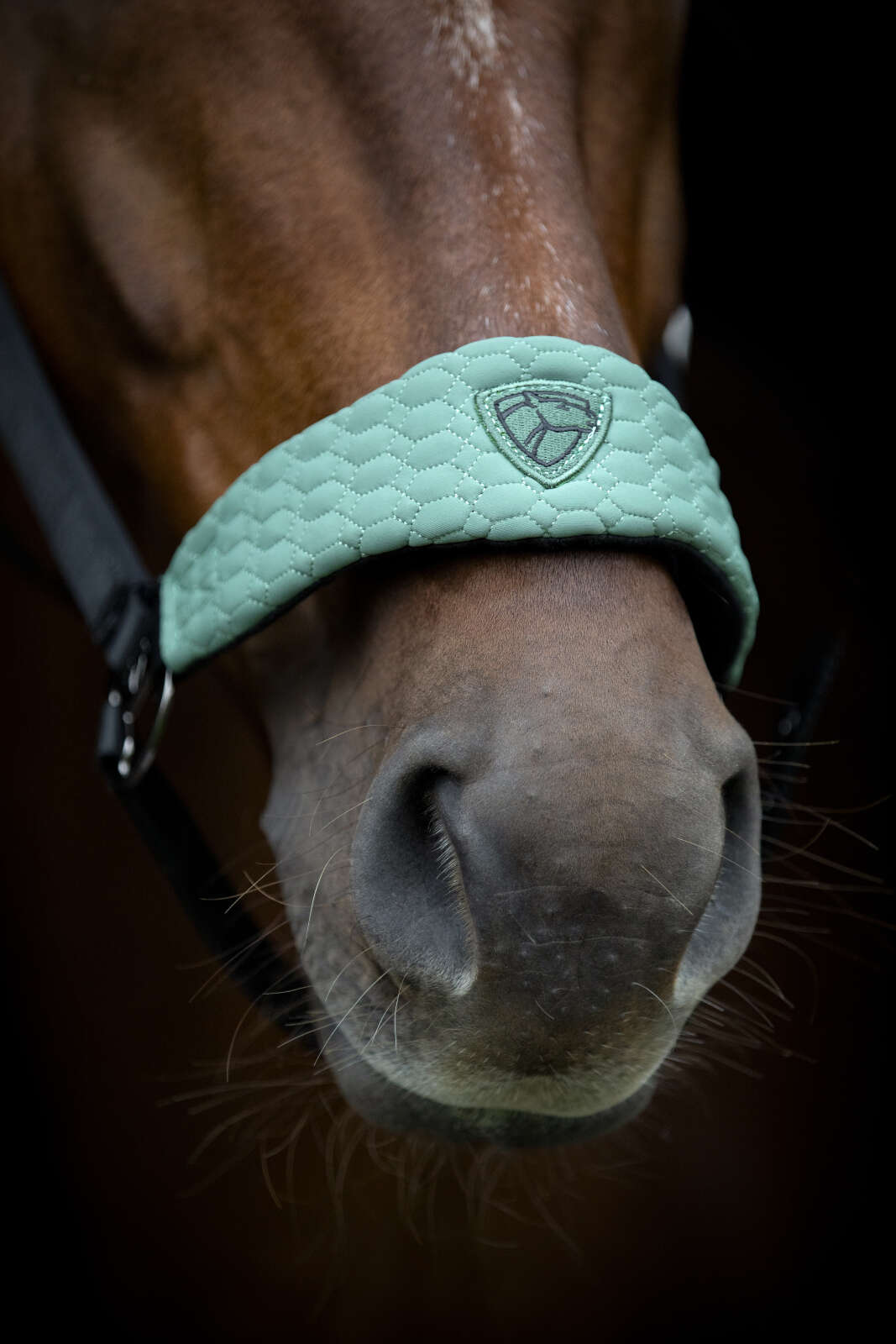 Catago FIR-Tech Grand grime