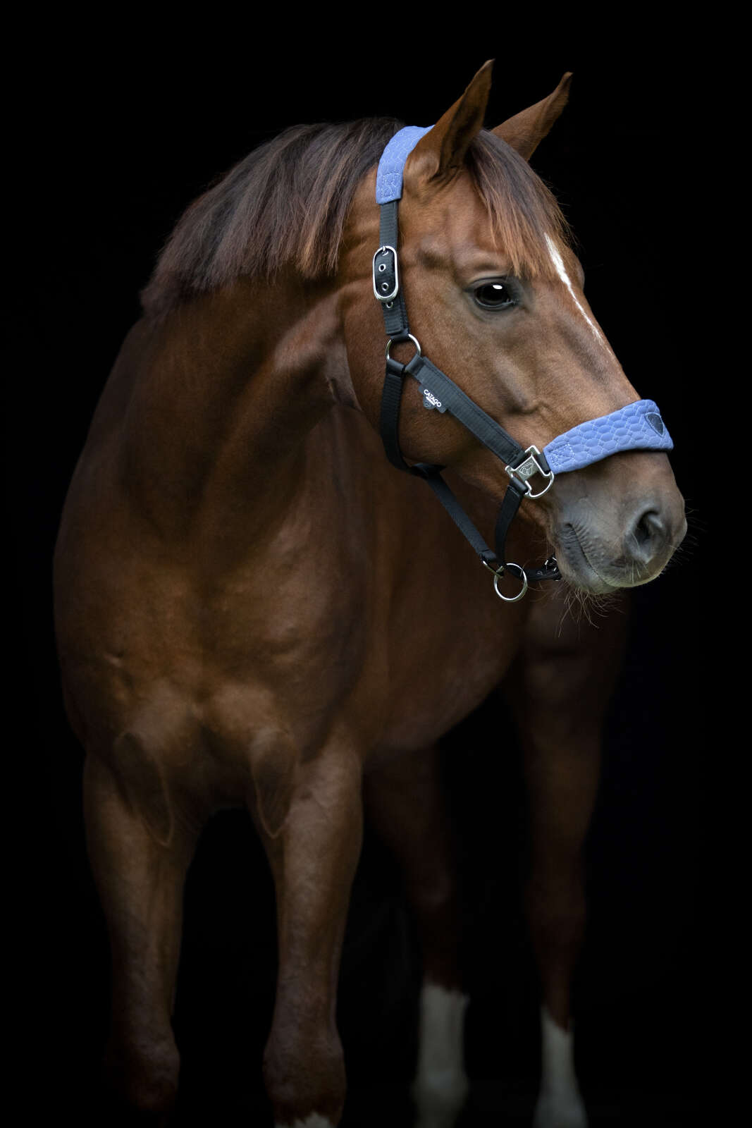 Catago FIR-Tech Grand grime