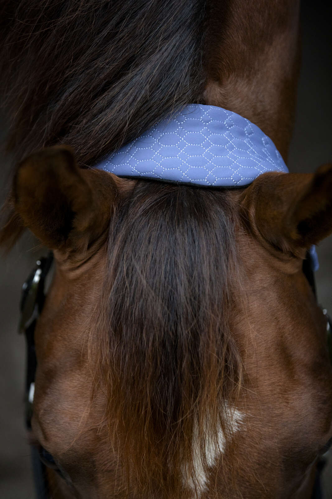 Catago FIR-Tech Grand grimma