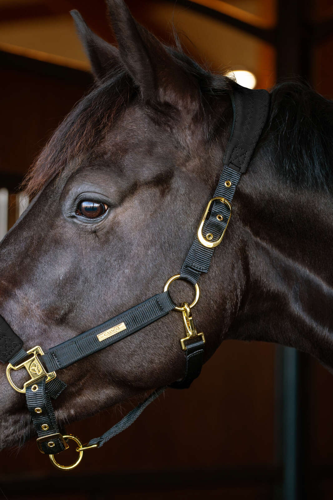 Catago FIR-Tech Grand grimma