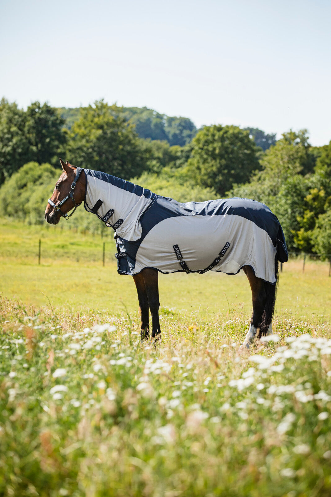 CATAGO Taylin Rain & Fly rug