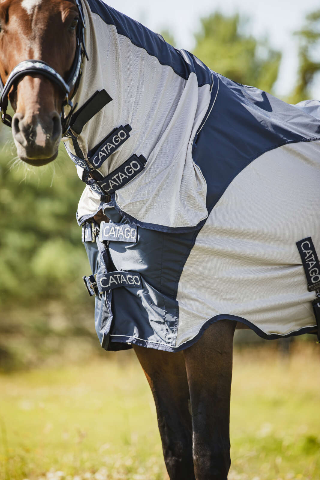 Catago Taylin Regn- och Flugtäcke