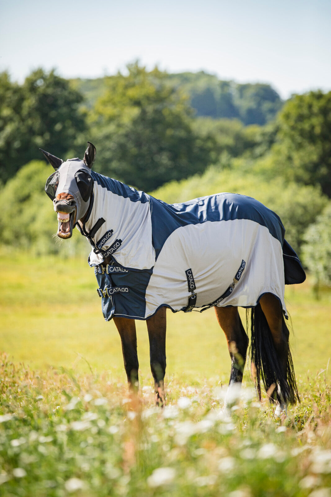CATAGO Taylin Rain & Fly rug
