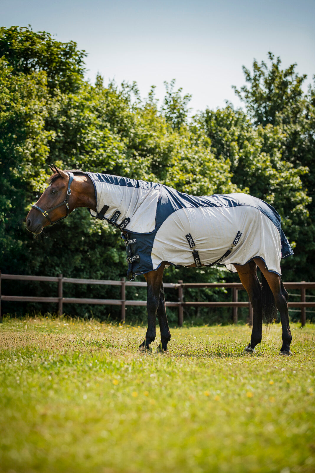 CATAGO Taylin Rain & Fly rug