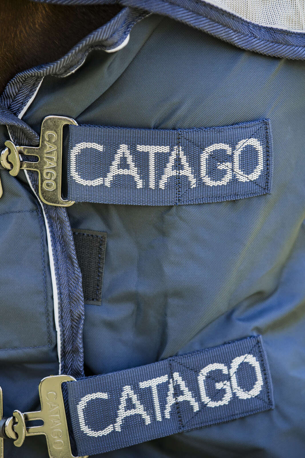 Catago Taylin Regen und Fliegendecke