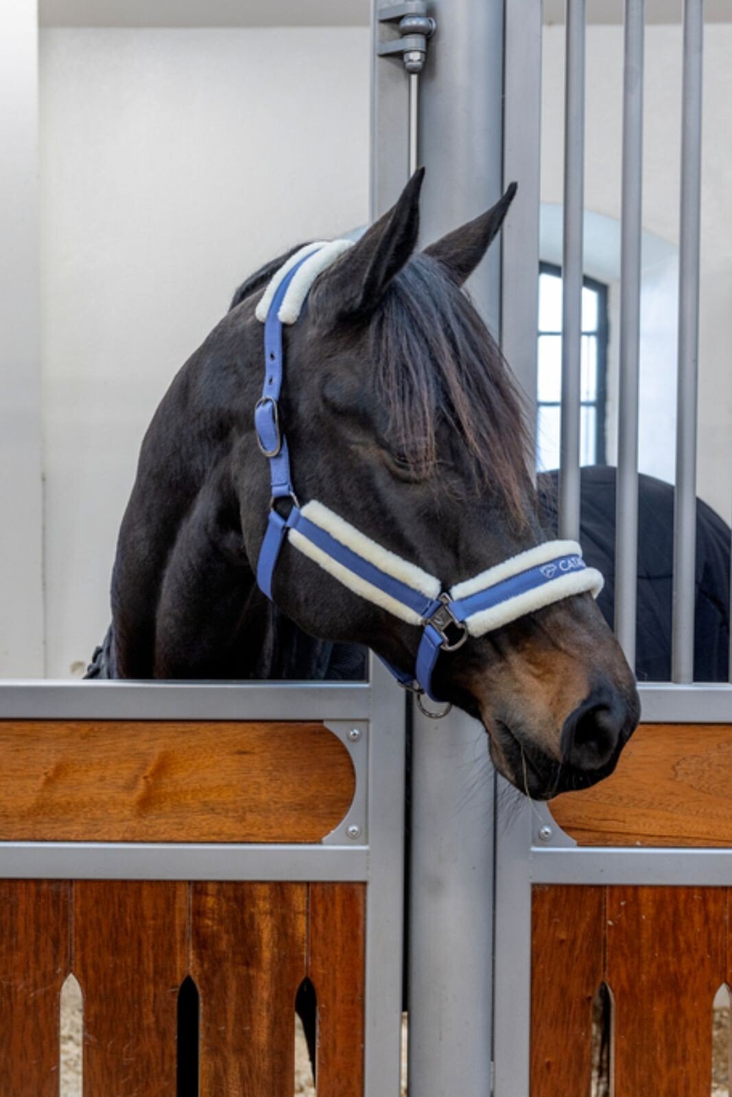 CATAGO Trace halter - Unamari