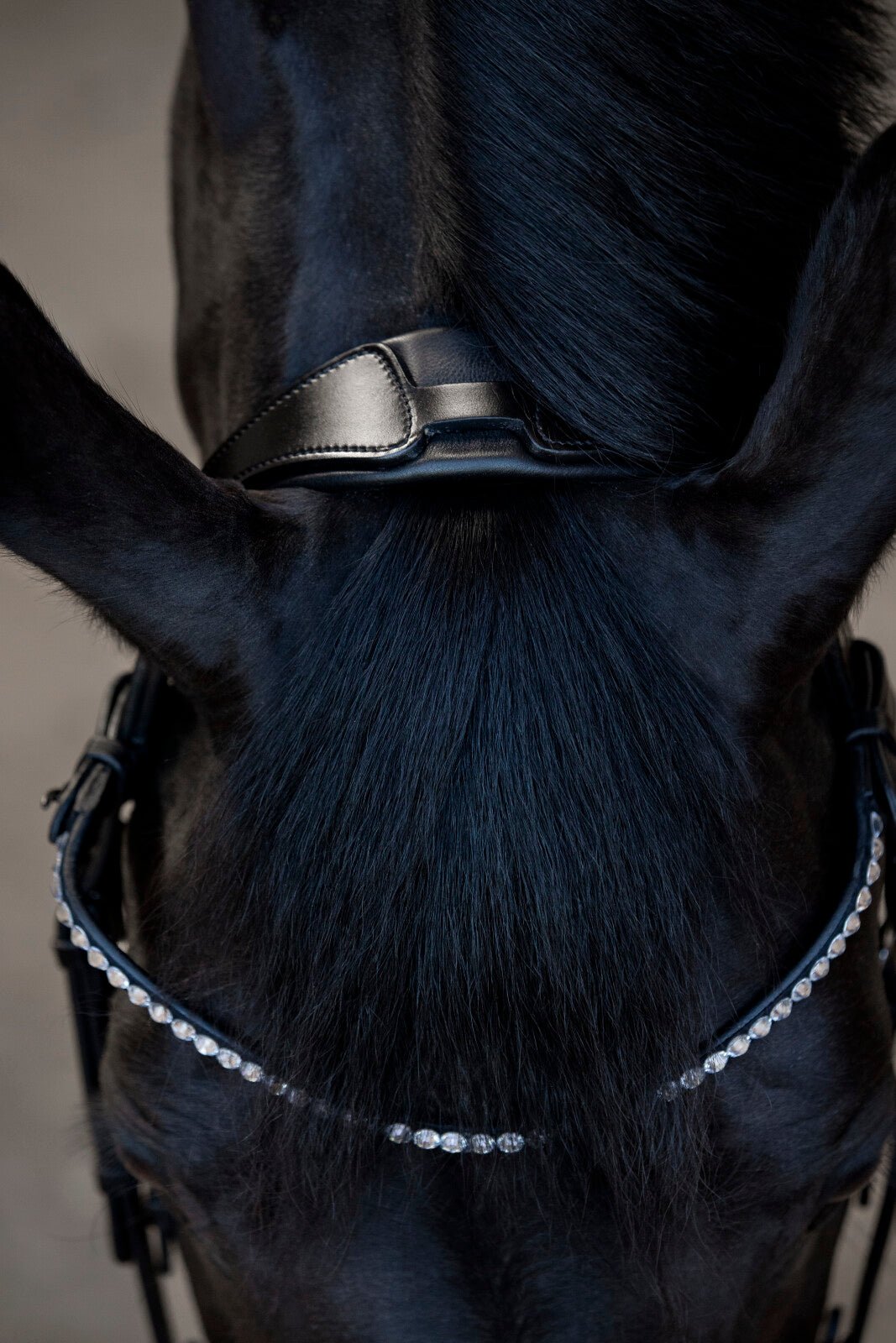 CATAGO Tori Bridle - Unamari