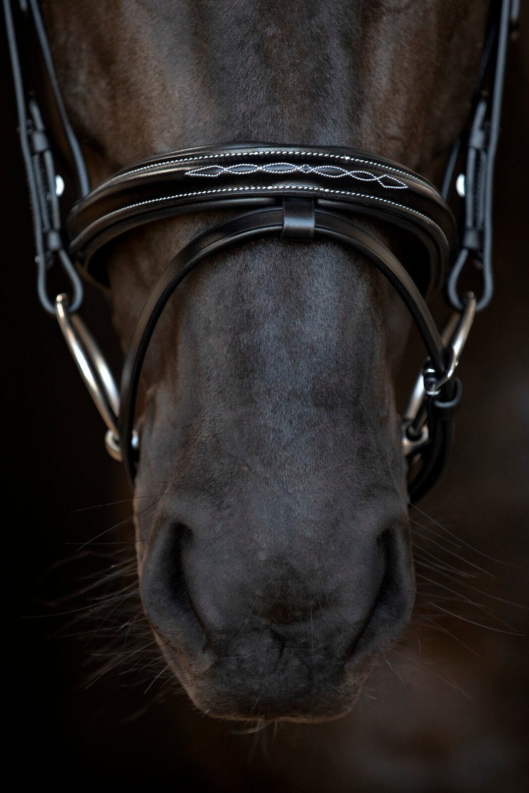 CATAGO Torina Bridle - Unamari