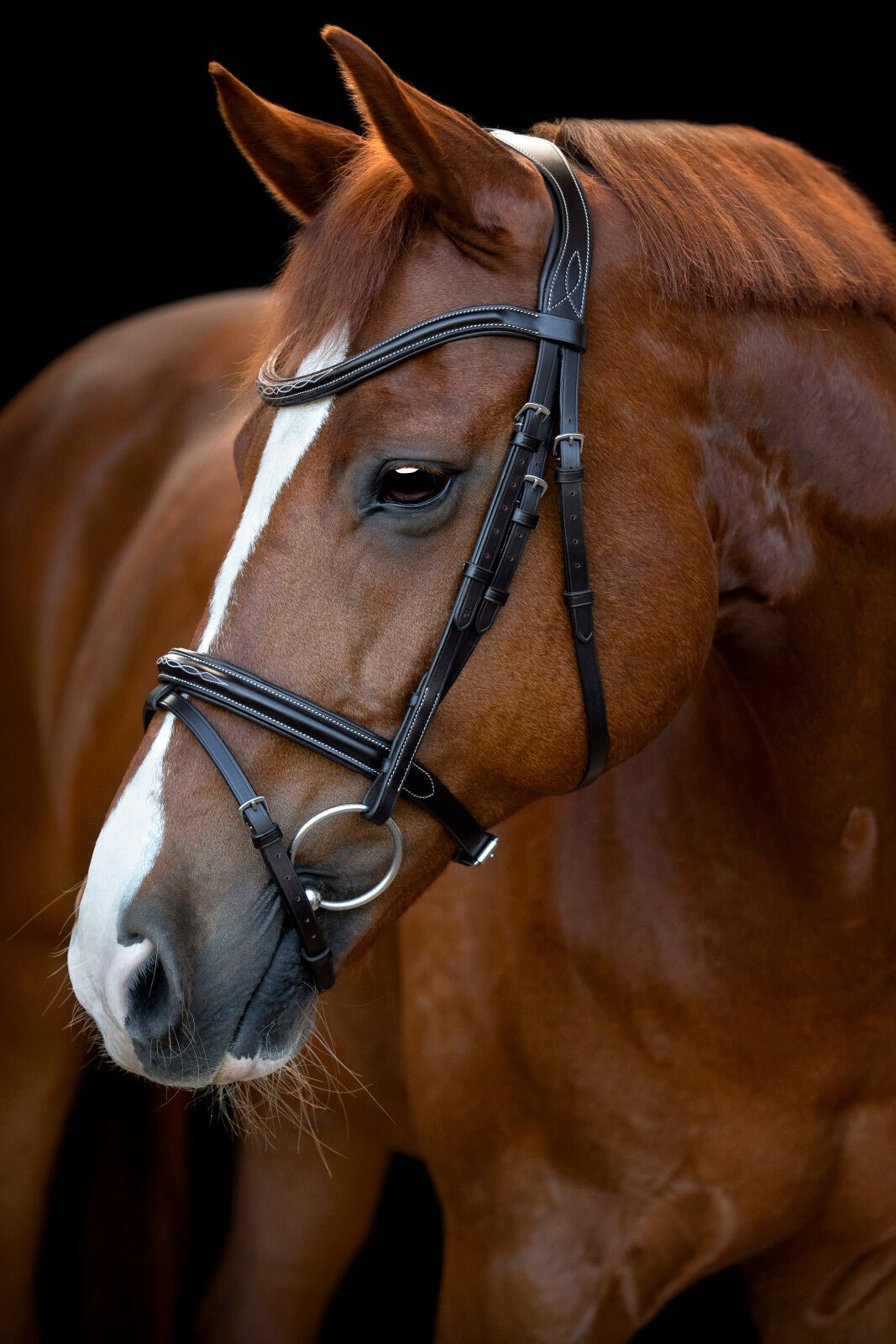 CATAGO Torina Bridle - Unamari