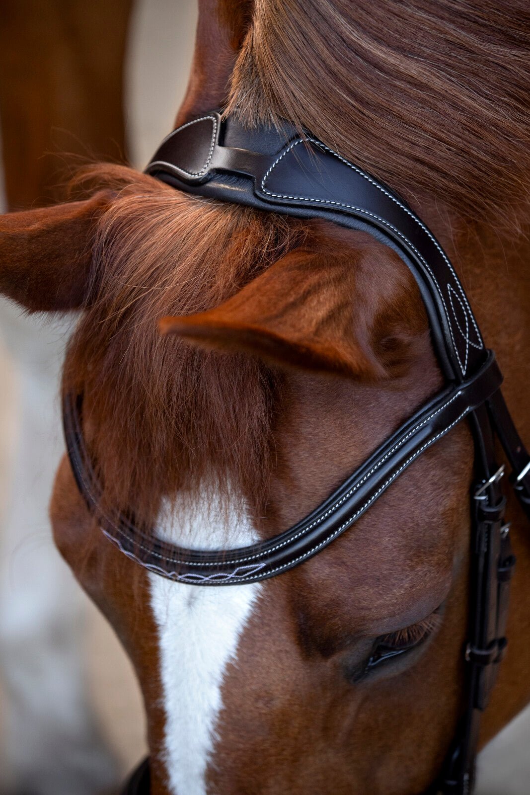 CATAGO Torina Bridle - Unamari