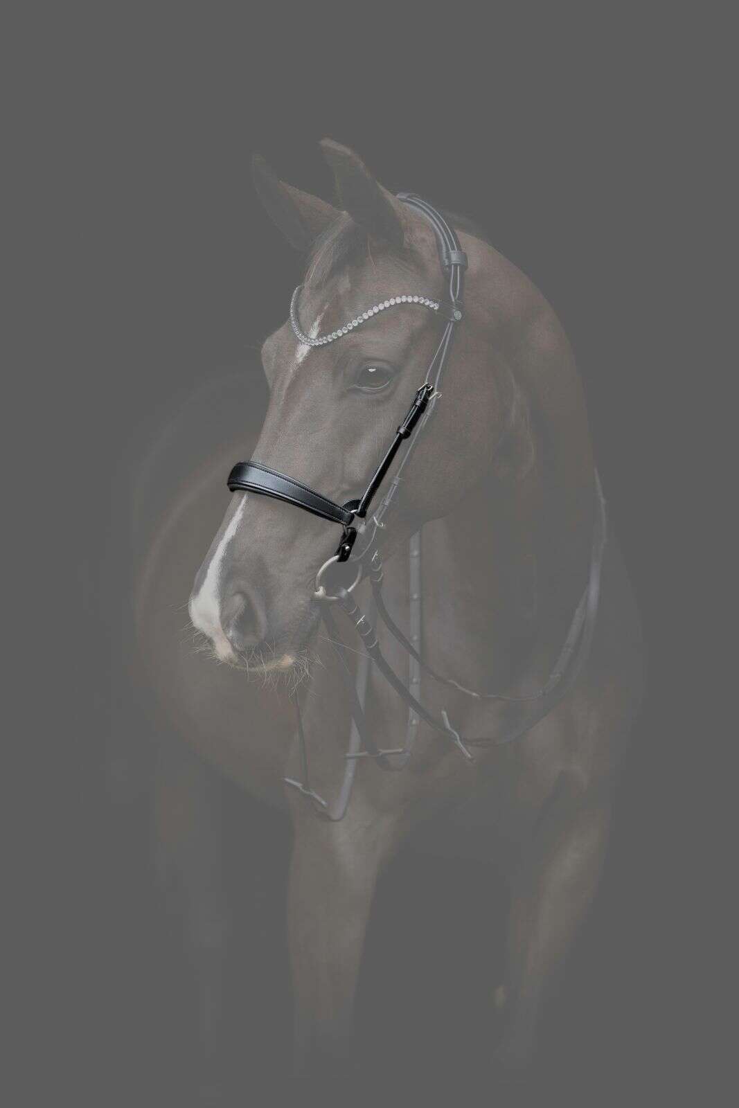 Catago Gentle noseband with connection rings
