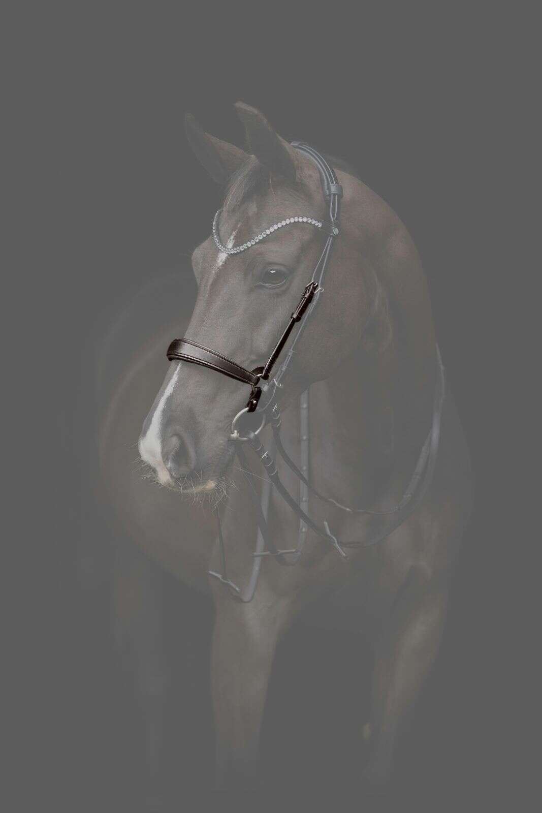 Catago Gentle noseband with connection rings
