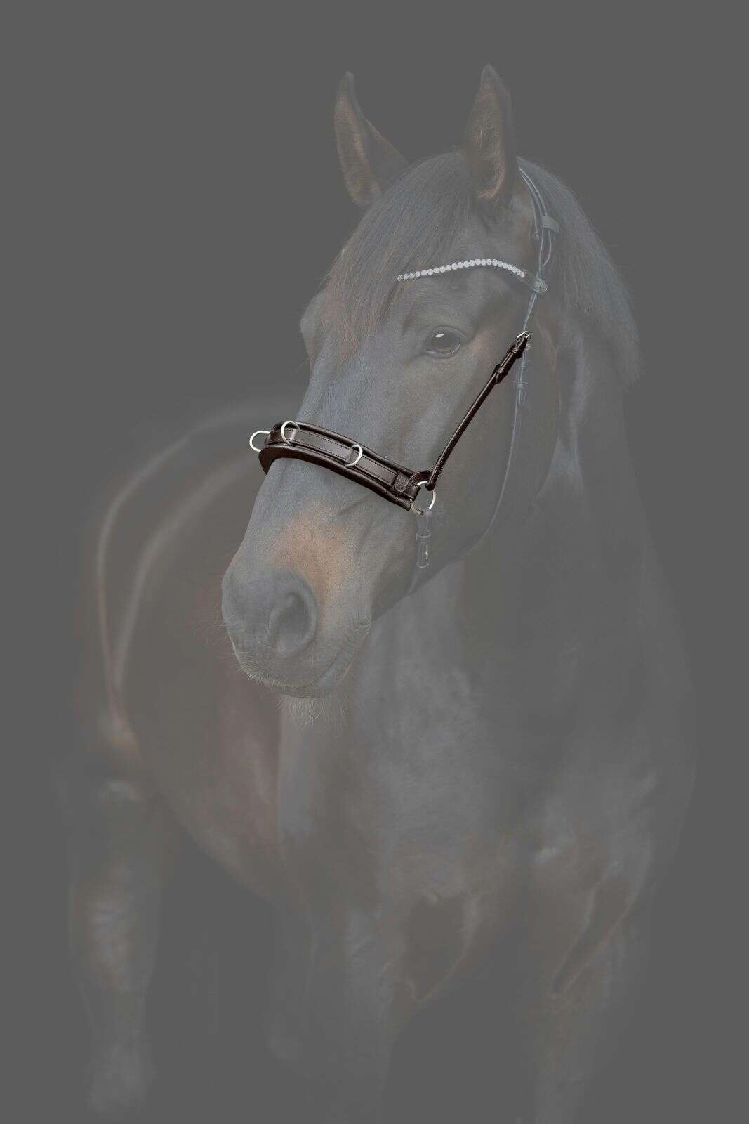 Catago Gentle cavesson