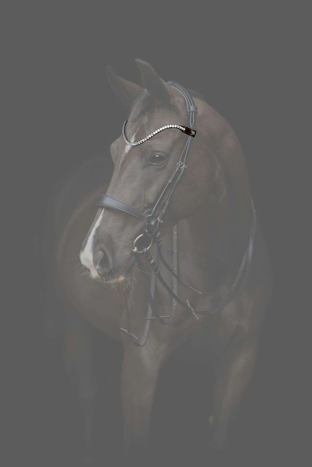 Catago Gentle browband