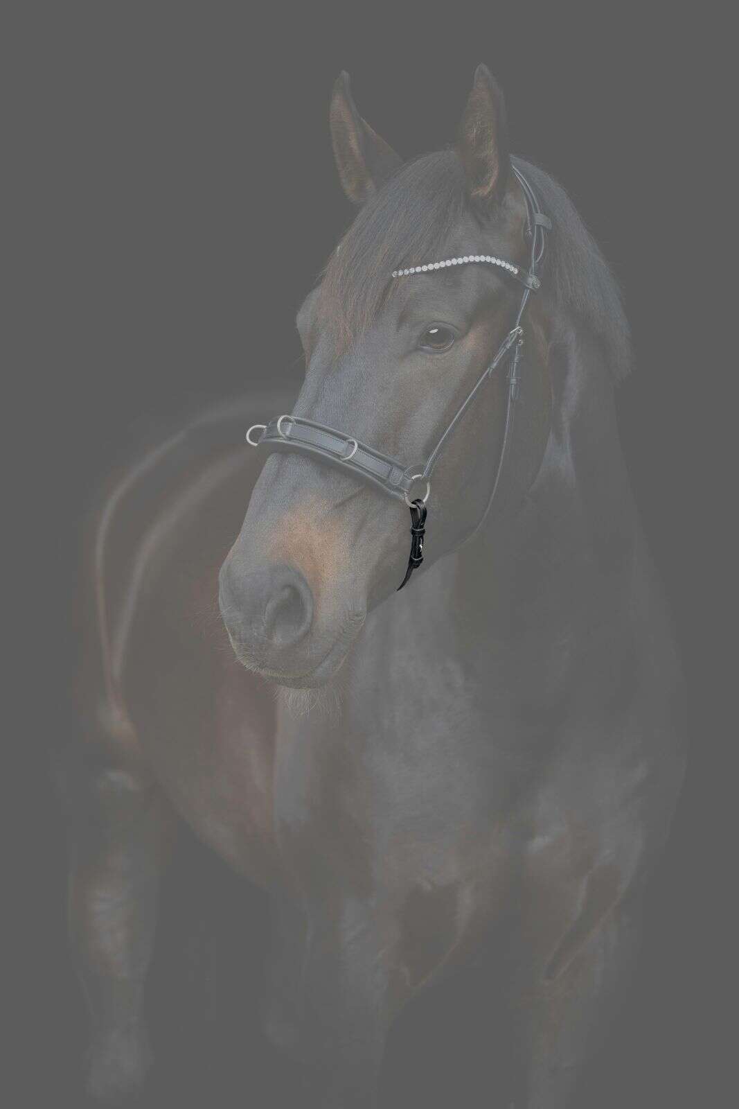 Catago Gentle nose strap