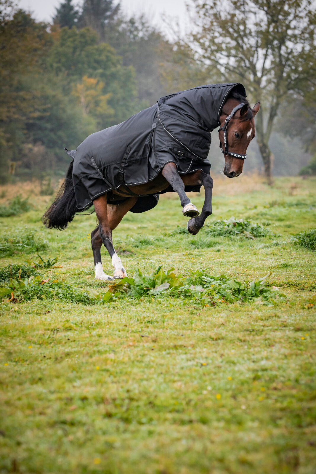 CATAGO Endurance 2.0 udedækken 1680D, 150g