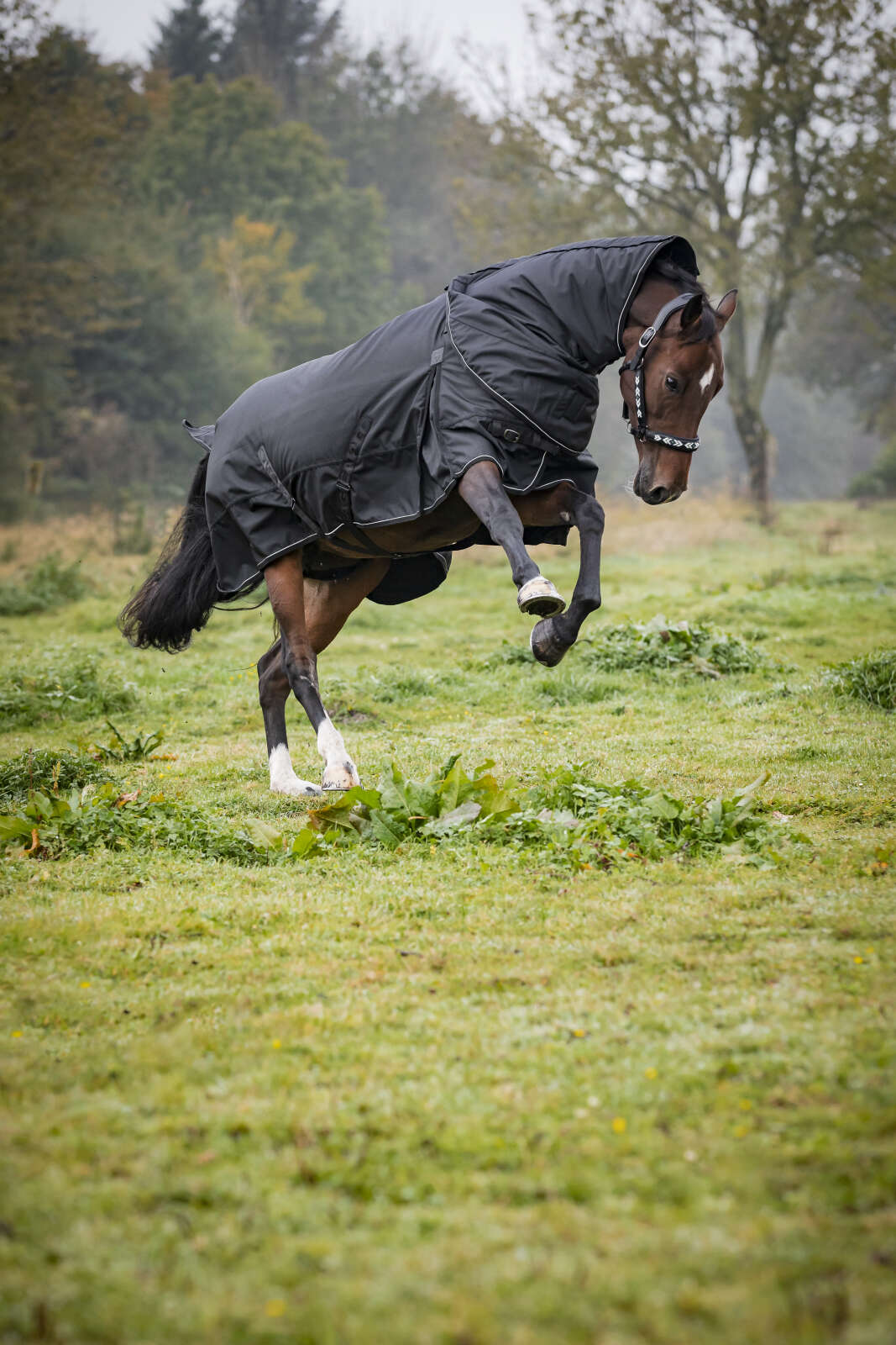 CATAGO Endurance 2.0 udedækken 1680D, uden halsdel, 300 g
