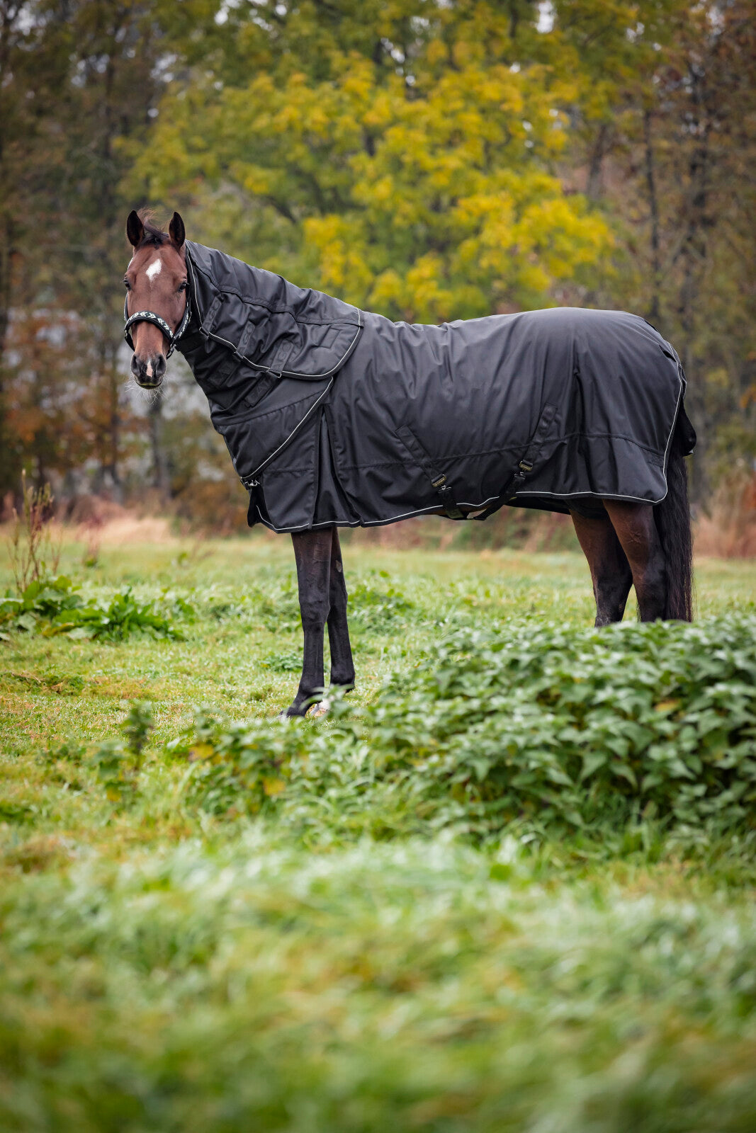 CATAGO Endurance 2.0 udendørs dækken 1680D, 300g