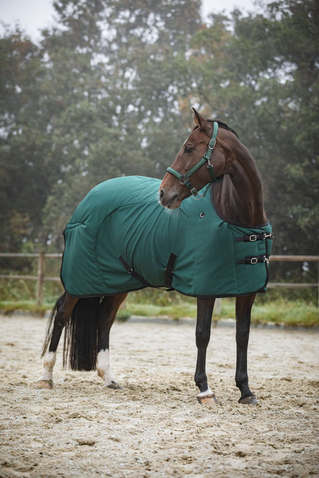 CATAGO FIR-Tech Decke