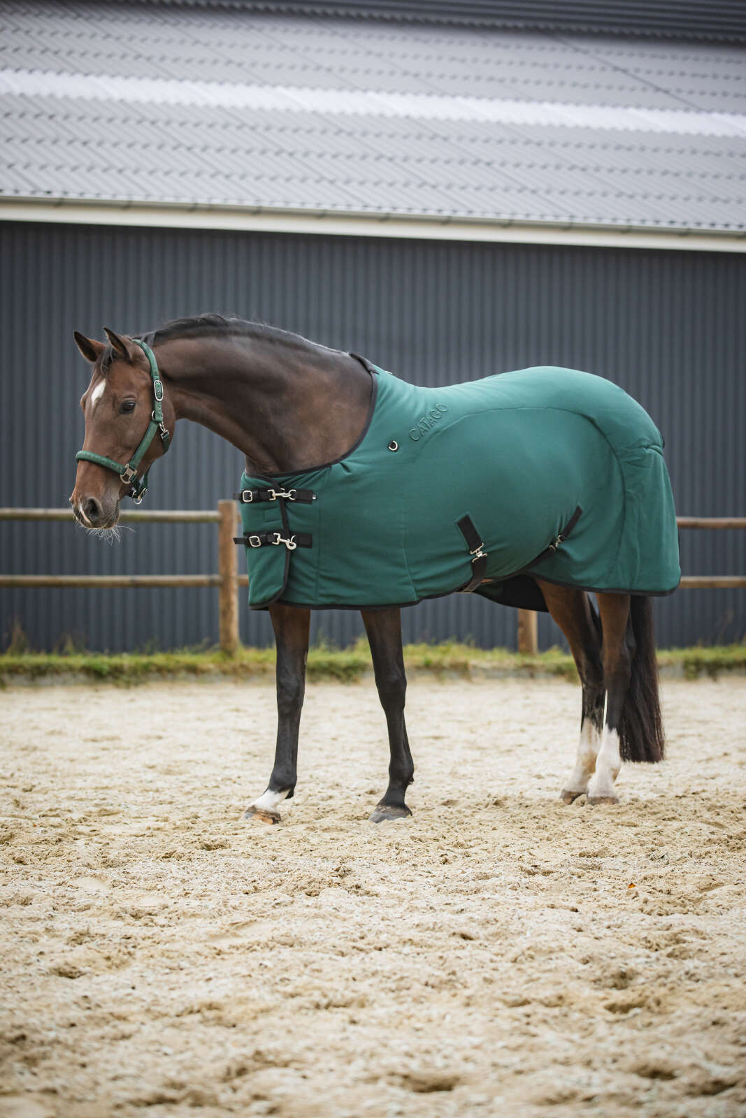 CATAGO FIR-Tech Decke