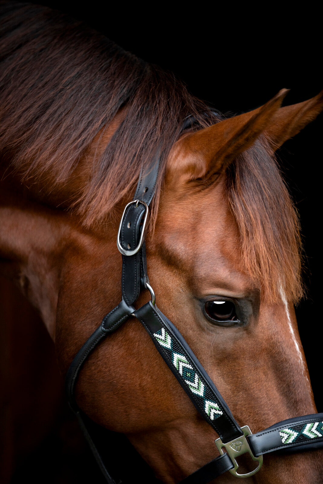 CATAGO Vanamo lädergrimma, pärlmönster