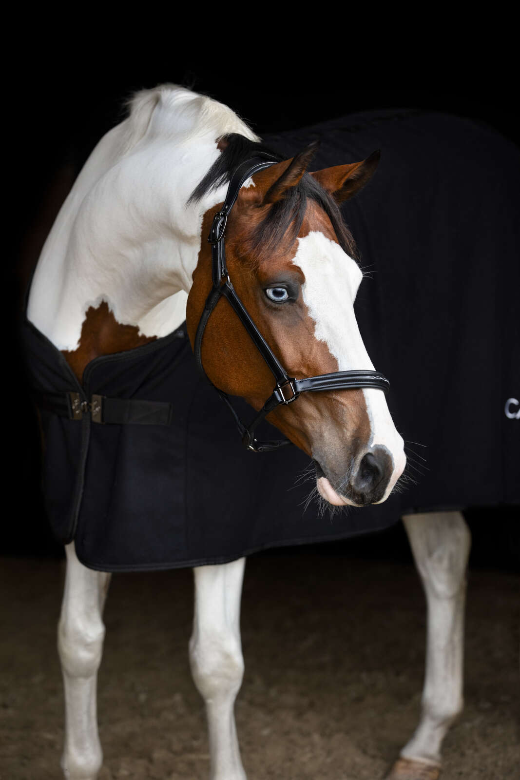 CATAGO Novi 25.2 læder grime