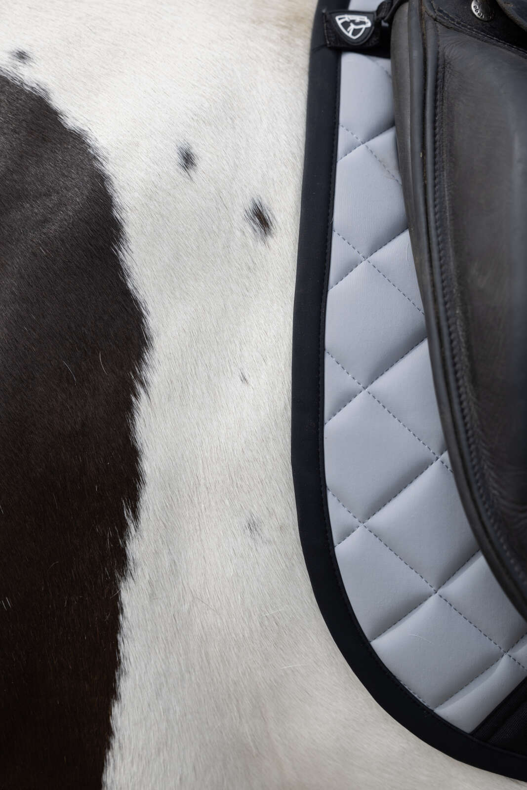 Catago FIR-Tech Grand 2.0 Icelandic saddle pad