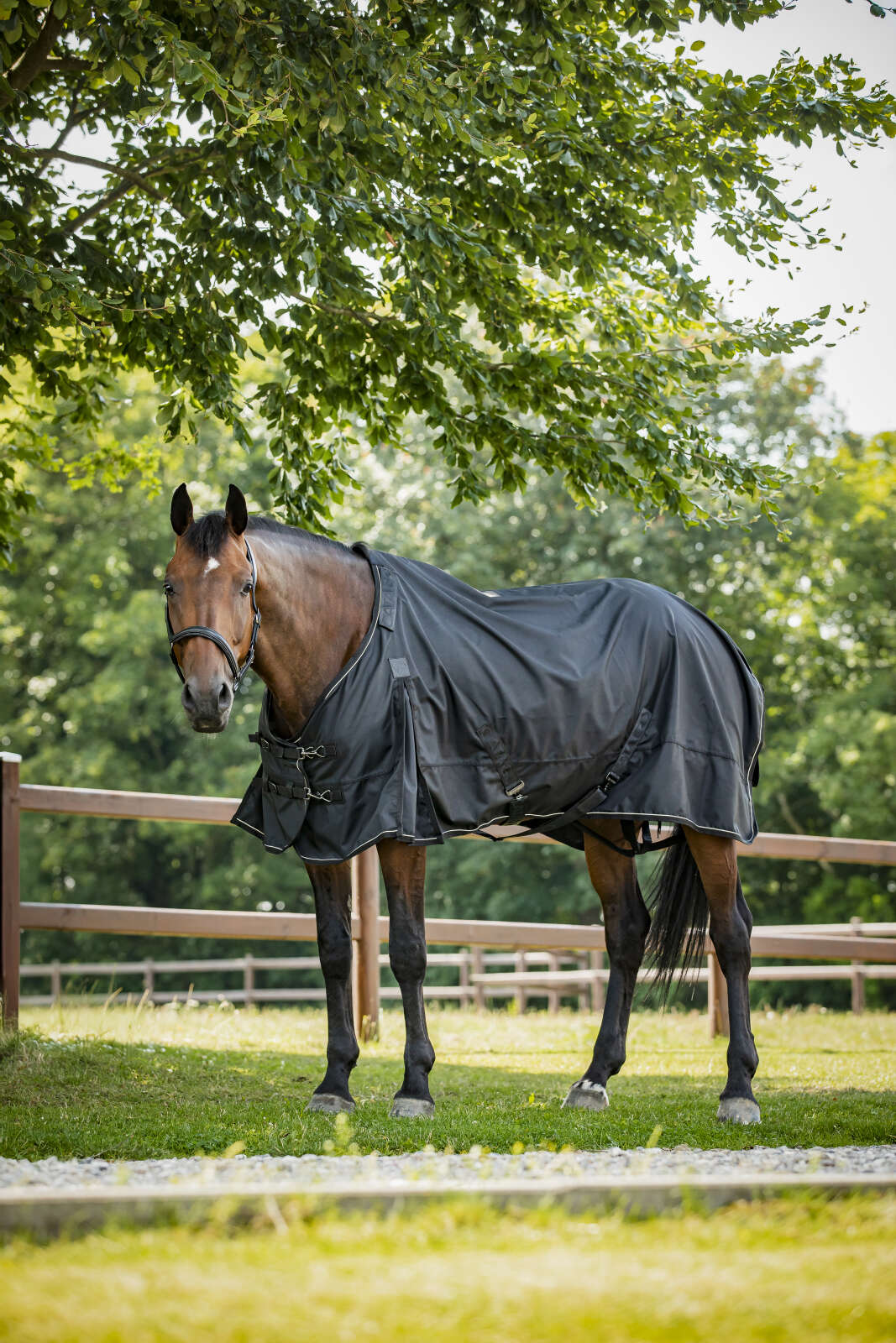 Catago Endurance 2.0 1680D Turnout Decke, 0 g