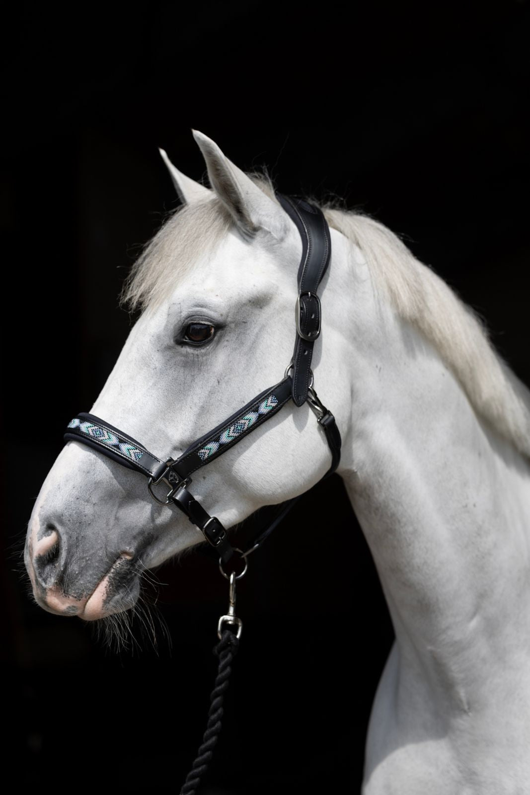 Catago Anamo Halter & Lead Rope Set, Laurel Wreath