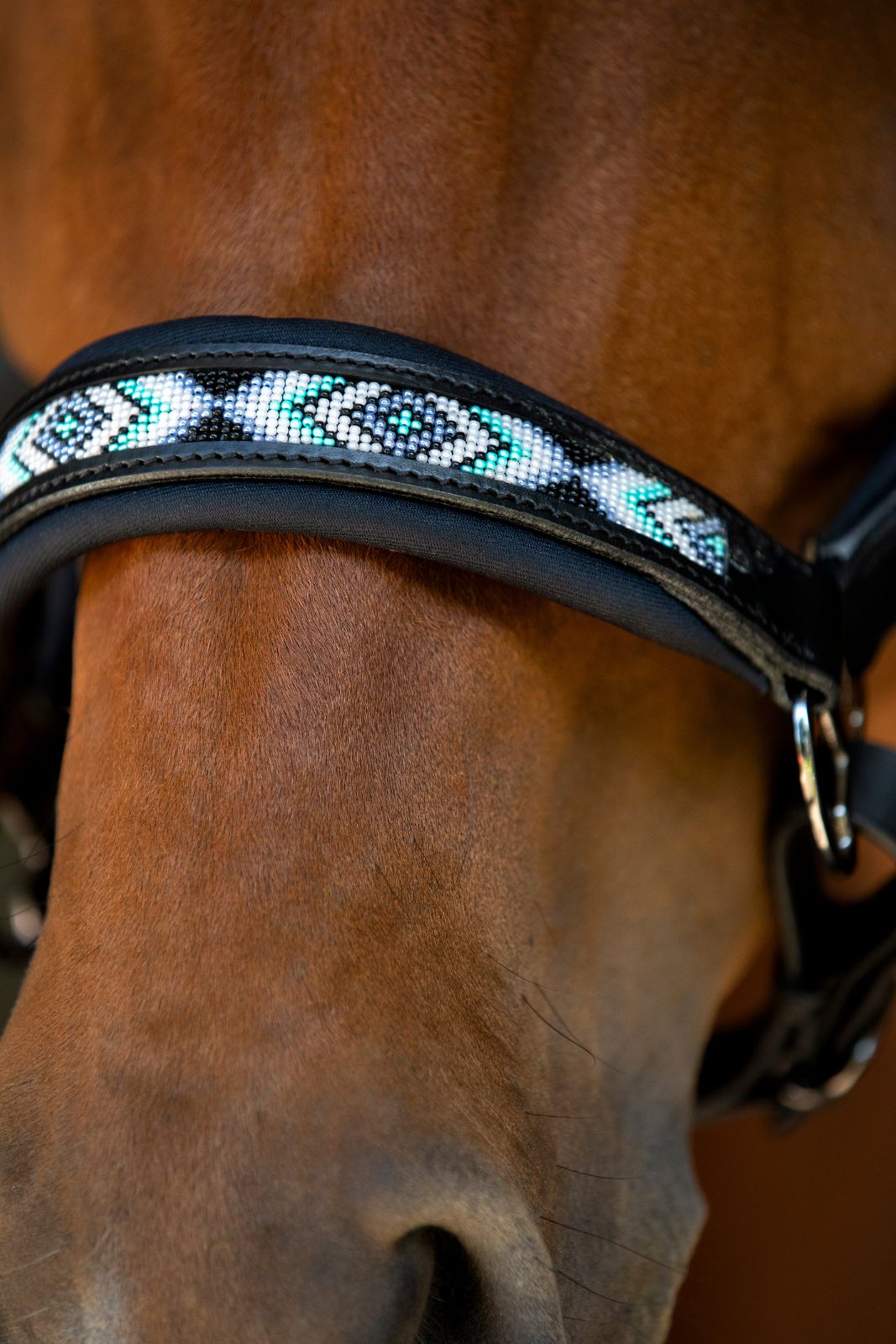 Catago Anamo Halter & Lead Rope Set, Blue Surf