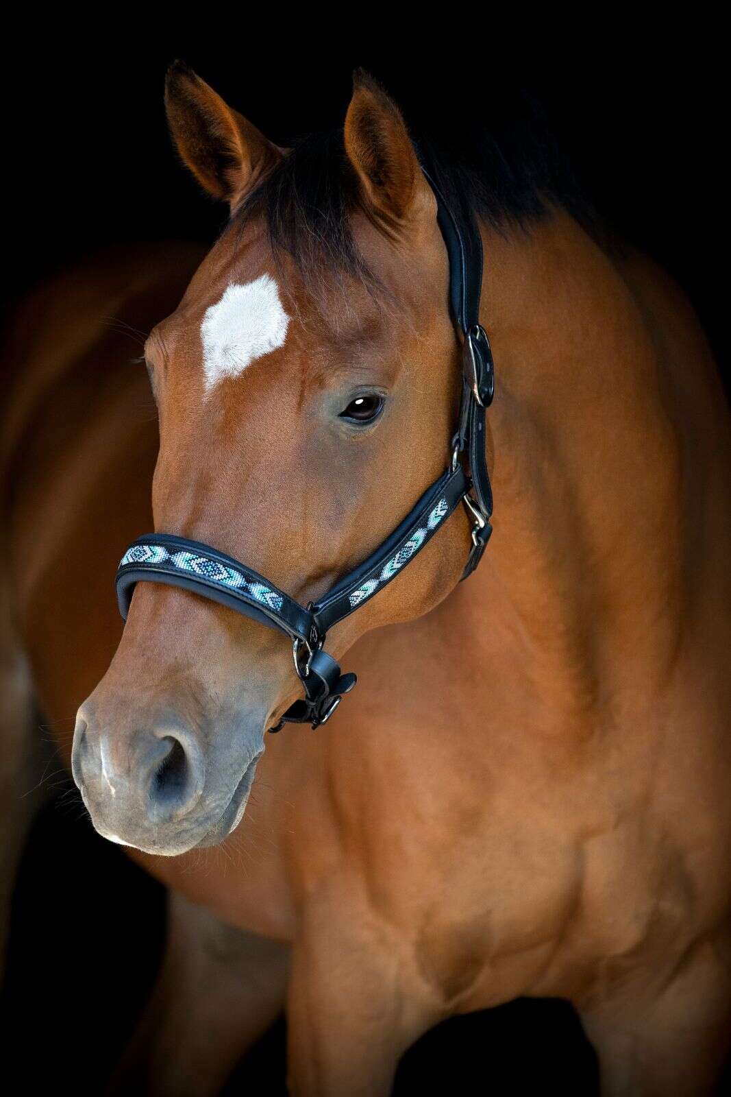 Catago Anamo halter leather, pearl pattern