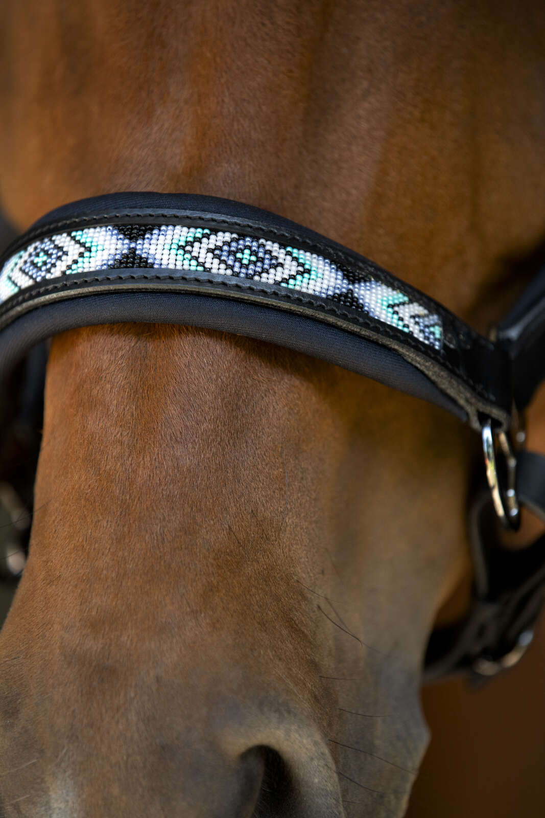 Catago Anamo halter leather, pearl pattern