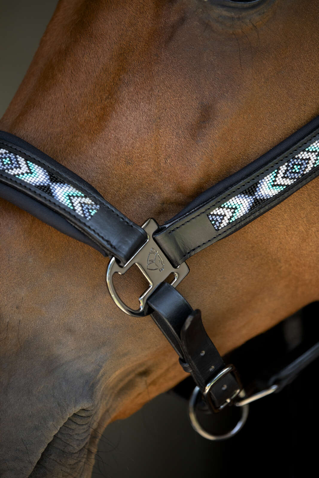 Catago Anamo halter leather, pearl pattern