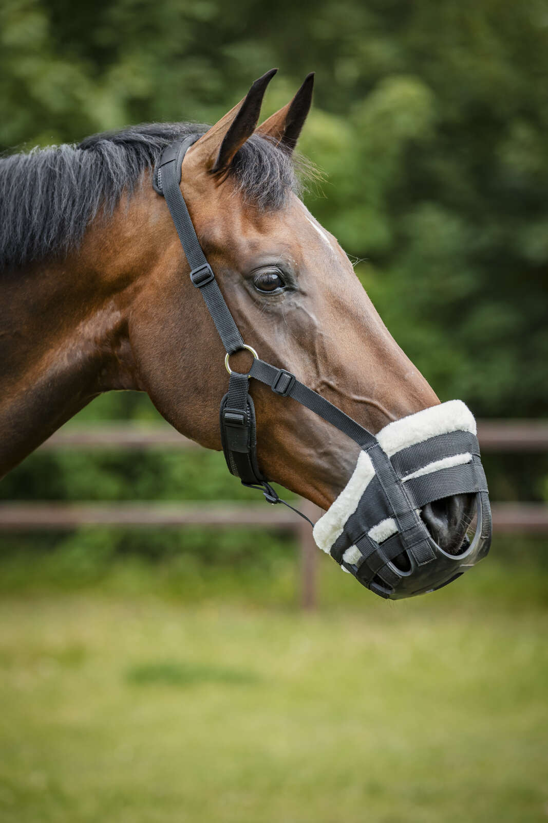 HorseGuard Easy Breathe Gras reducer