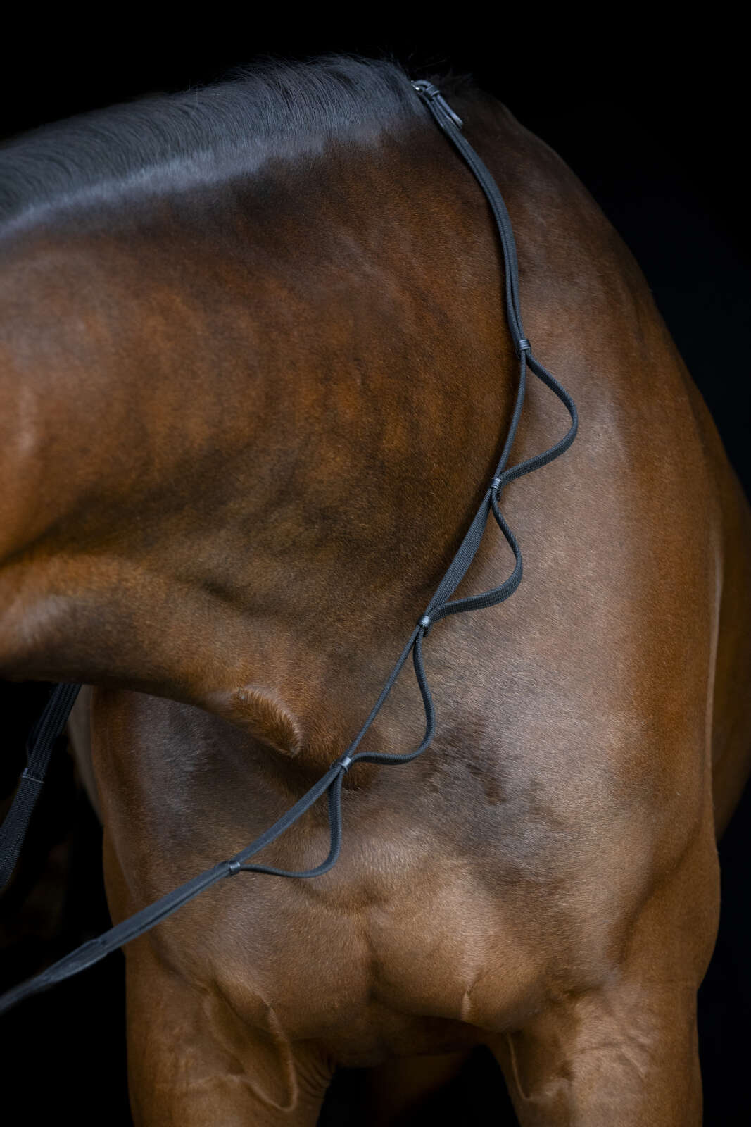 Horse Guard Loop reins 16mm