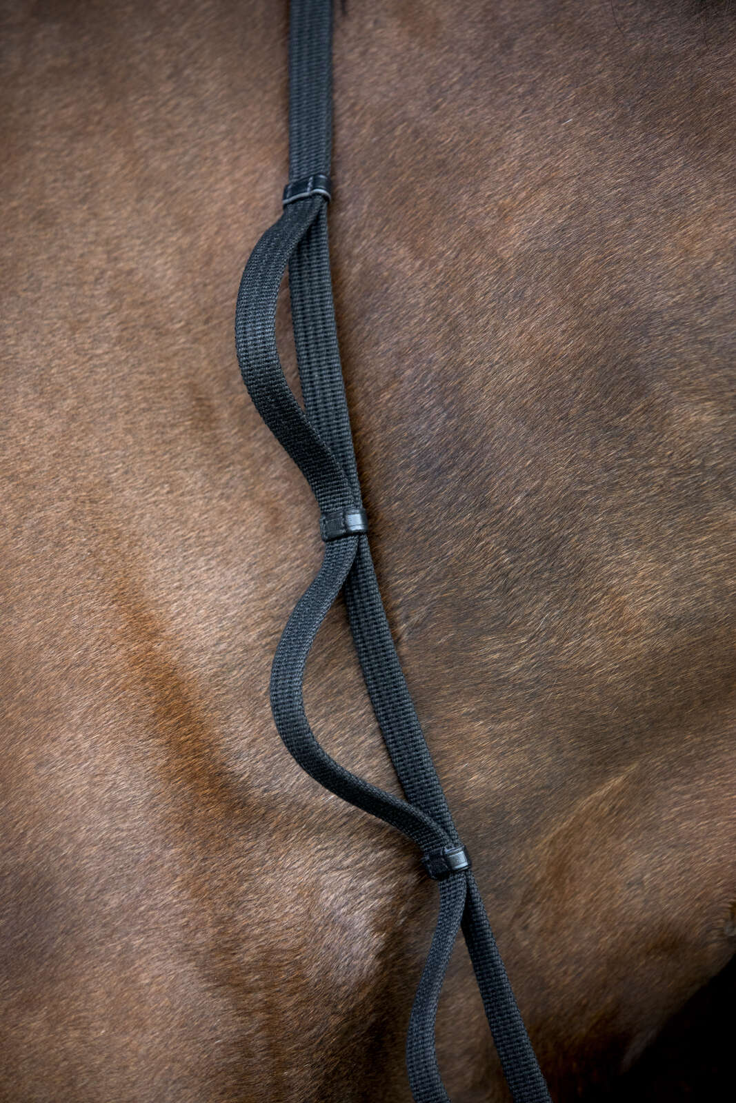 HorseGuard Loop reins 16mm