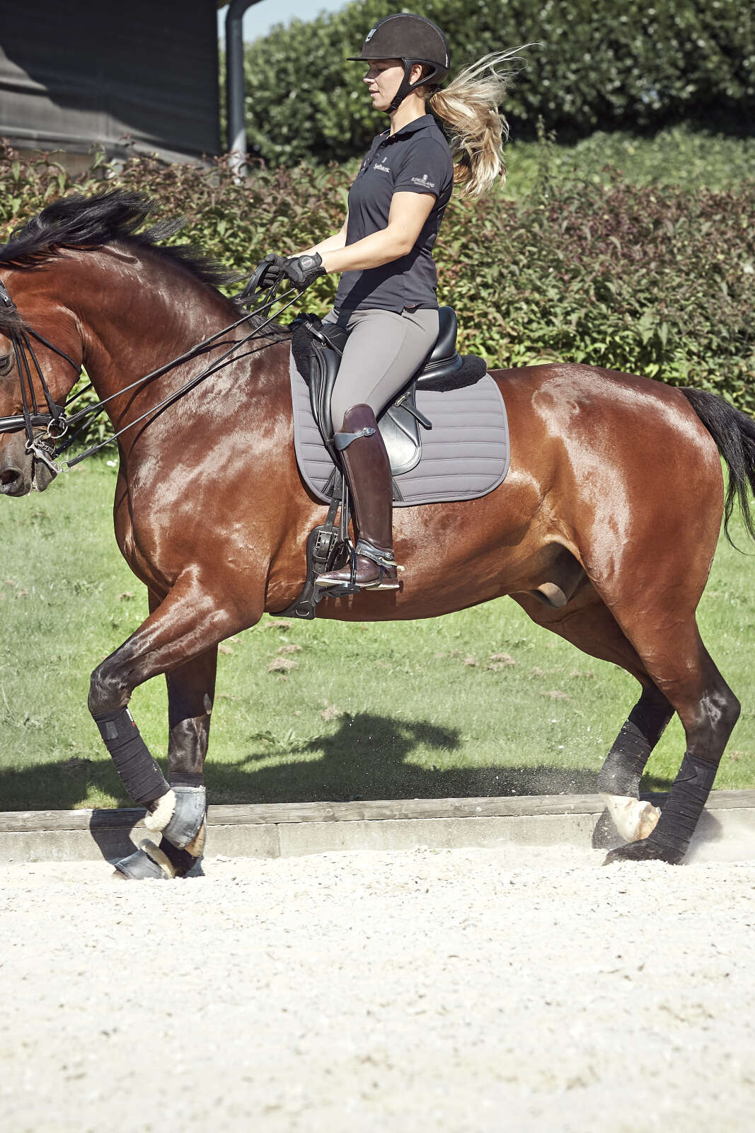 CATAGO Hybrid Dressurschabracke