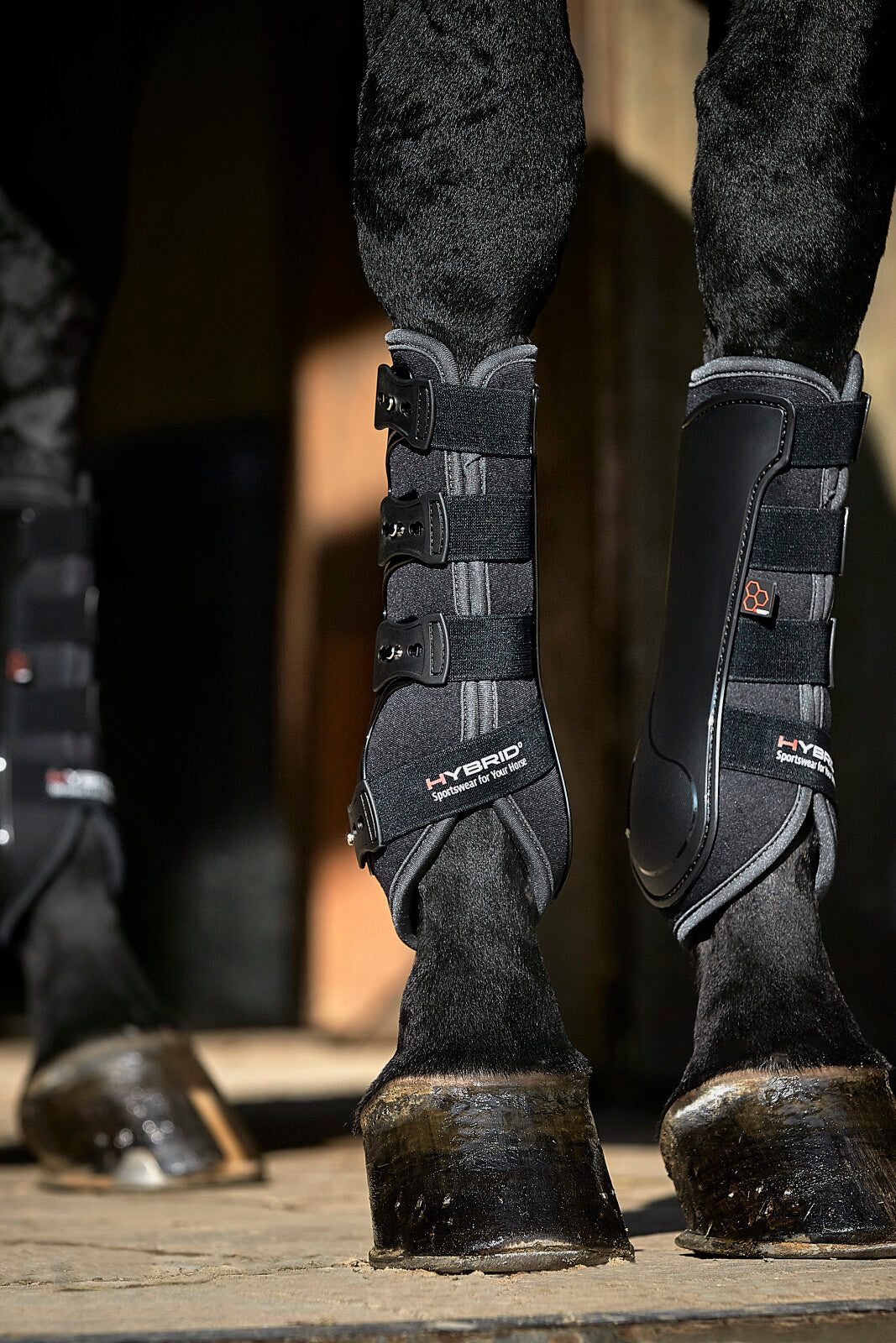 CATAGO Hybrid dressage boot