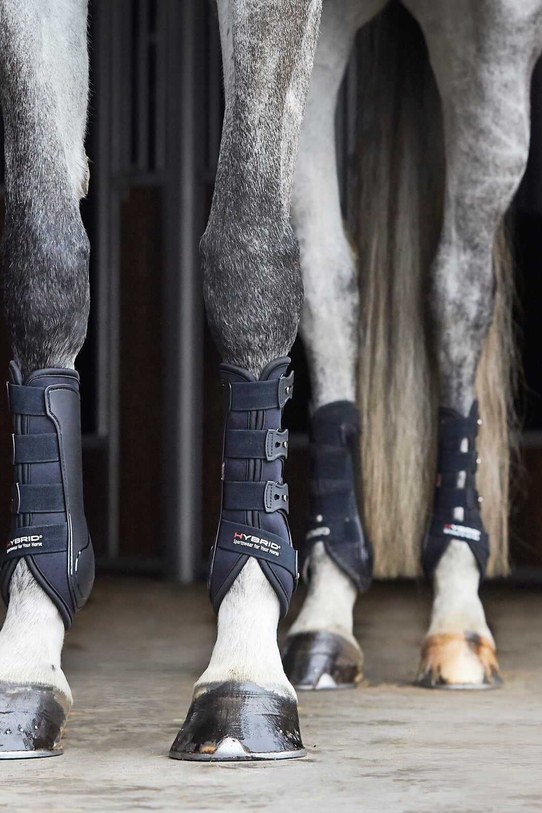 CATAGO Hybrid dressage boot