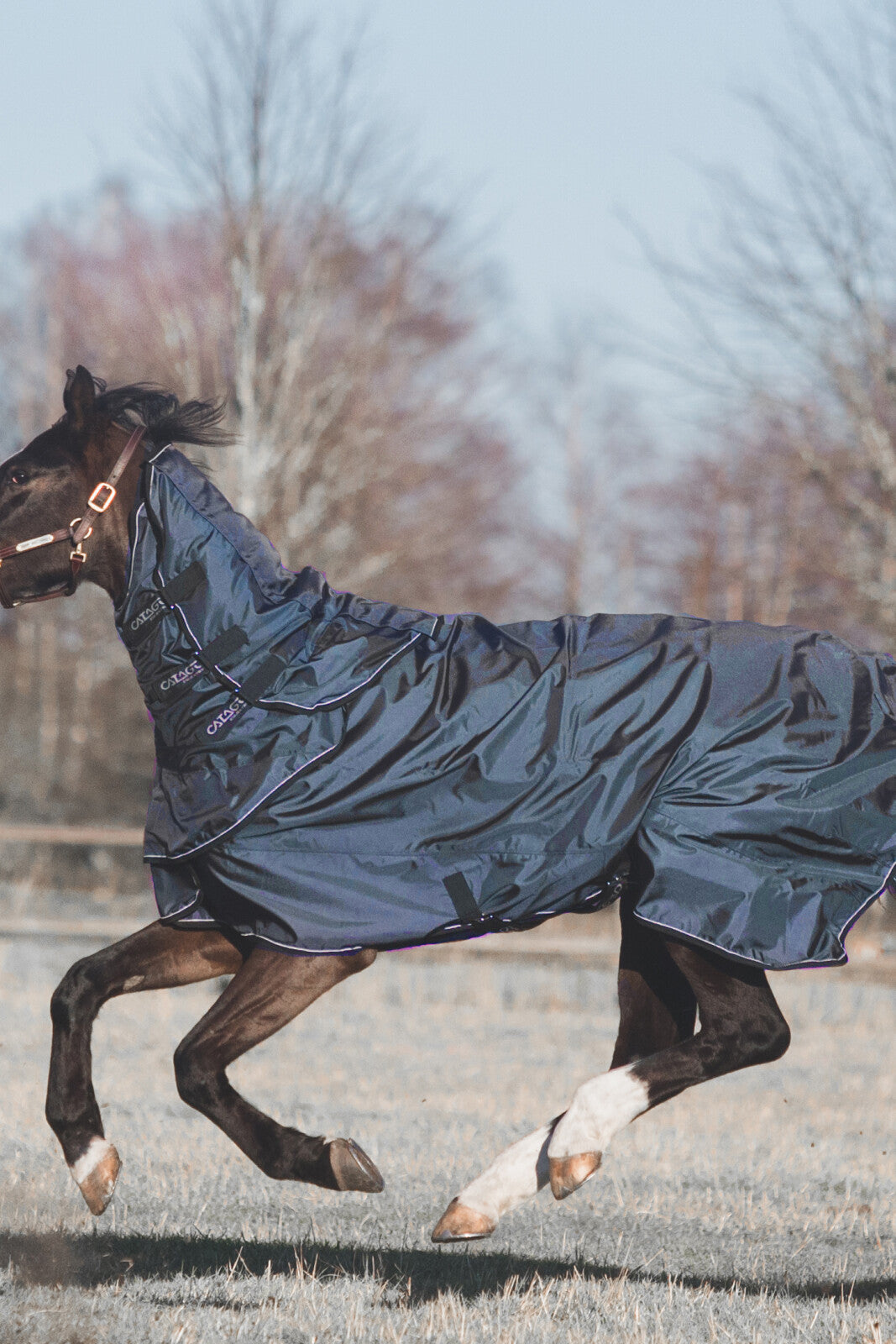 CATAGO Hybrid täcke, 300g