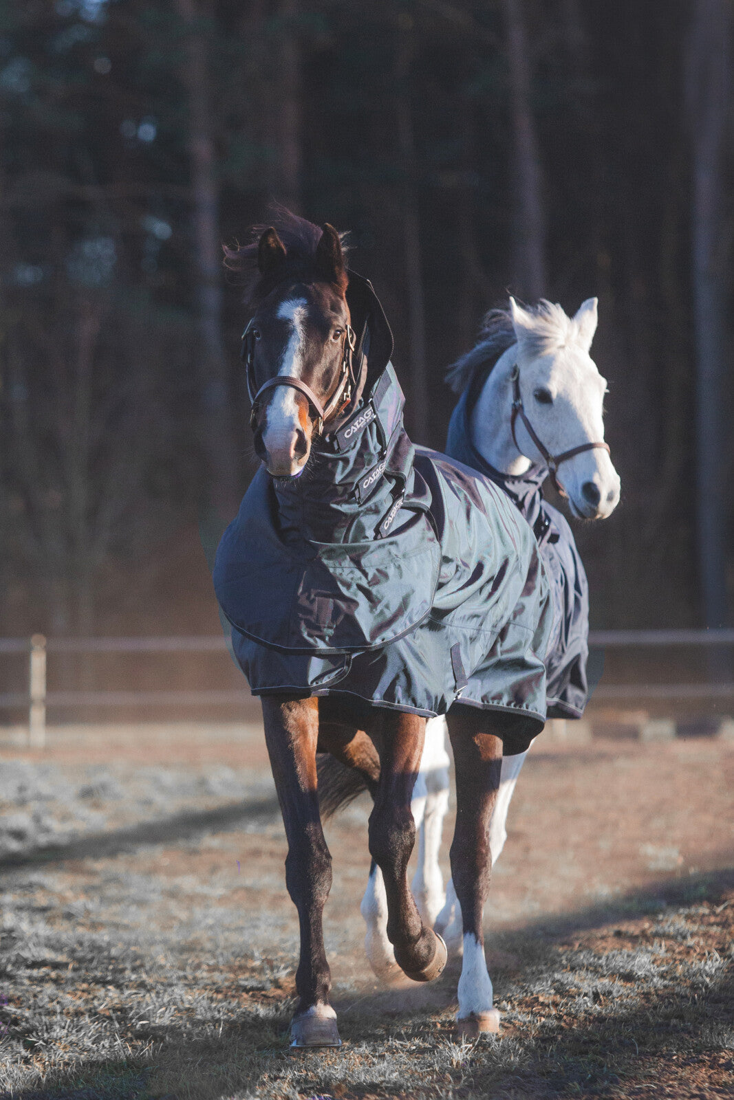 CATAGO Hybrid rug, 300g