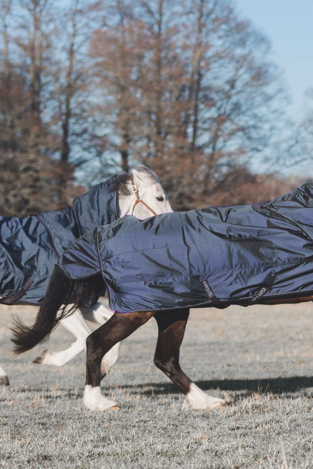 CATAGO Hybrid thermal turnout dækken, 300g