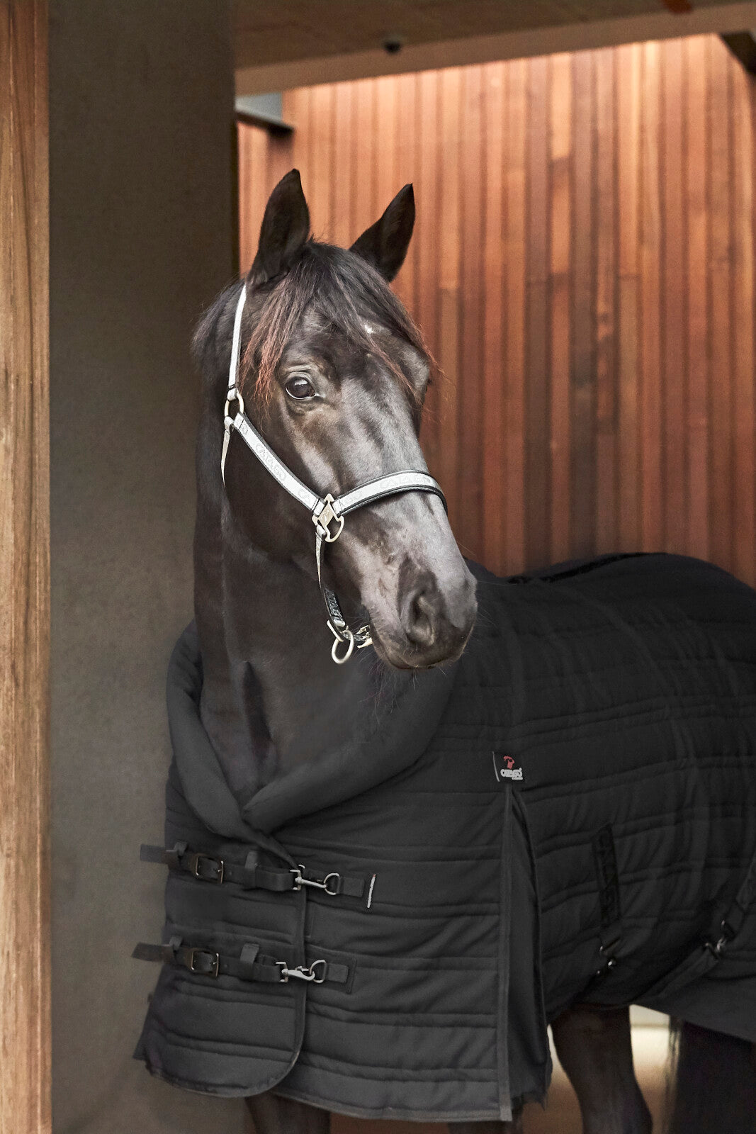 CATAGO Hybrid Stable rug 200g